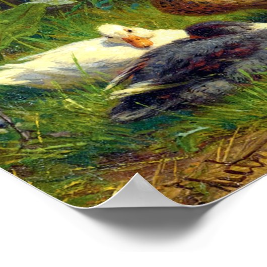 Carl Jutz Ducks Poster (Ecke)
