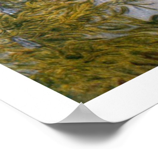 Carl Larsson Christmas Tree Poster Fine Art Print (Ecke)