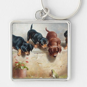 Carl Reichert Neugierige Dachshund-Welpen und ein Schlüsselanhänger