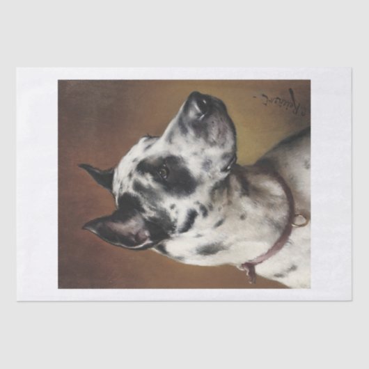 Carl Richert | Great Dane Dog Portrait Seidenpapier (Vorderseite)