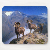 Carl Rungius Big Horn Sheep auf dem Wilcox Pass Mousepad (Vorne)