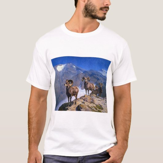 Carl Rungius Big Horn Sheep auf dem Wilcox Pass T-Shirt (Vorderseite)