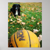 Carlee Poster (Vorne)