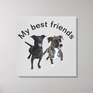 Carlos dogs Canvas Print Leinwanddruck