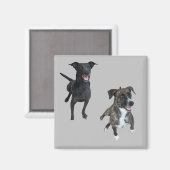 Carlos dogs magnet (Vorderseite/Rückseite)