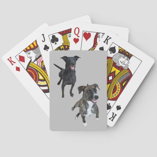 Carlos dogs spielkarten (Rückseite)