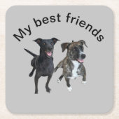 Carlos dogs Square Paper Untersetzer (Vorderseite)