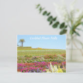 Carlsbad Blume Fields Postkarte (Stehend Vorderseite)