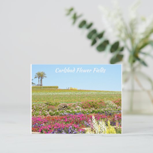 Carlsbad Blume Fields Postkarte (Stehend Vorderseite)