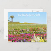 Carlsbad Blume Fields Postkarte (Vorne/Hinten)