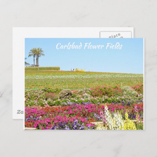 Carlsbad Blume Fields Postkarte (Vorne/Hinten)