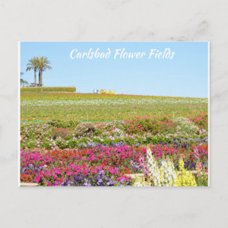 Carlsbad Blume Fields Postkarte