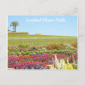 Carlsbad Blume Fields Postkarte (Vorderseite)