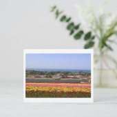 Carlsbad Blume Fields Postkarte (Stehend Vorderseite)