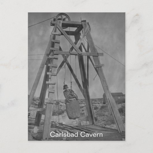 Carlsbad Cavern Fun Fakt Postkarte (Vorderseite)