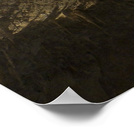 Carlsbad Caverns Chandelier Poster (Ecke)