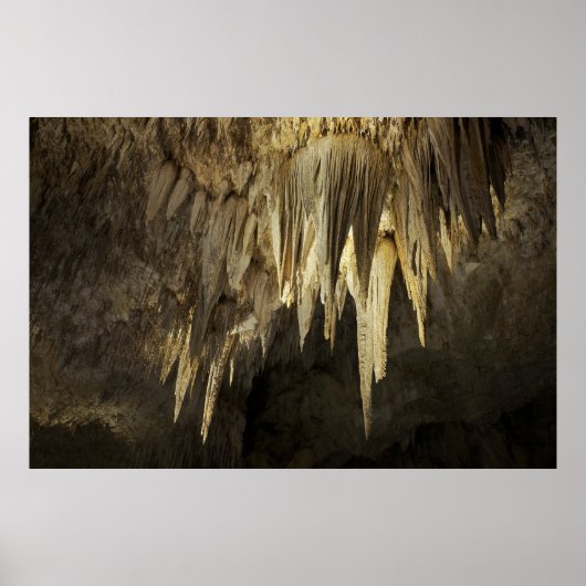 Carlsbad Caverns Chandelier Poster (Vorne)