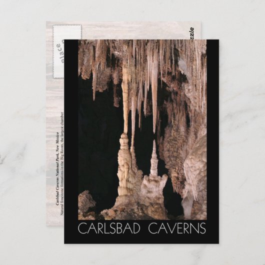 Carlsbad Caverns National Park, New Mexico Postkarte (Vorne/Hinten)