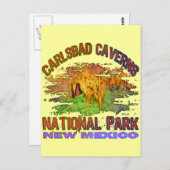 Carlsbad Caverns National Park, New Mexico Postkarte (Vorne/Hinten)