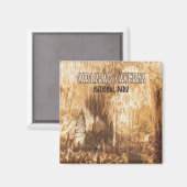 Carlsbad Caverns Nationalpark New Mexico Magnet (Vorderseite/Rückseite)