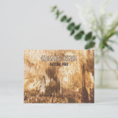 Carlsbad Caverns Nationalpark New Mexico Postkarte (Stehend Vorderseite)