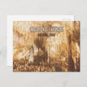 Carlsbad Caverns Nationalpark New Mexico Postkarte (Vorne/Hinten)