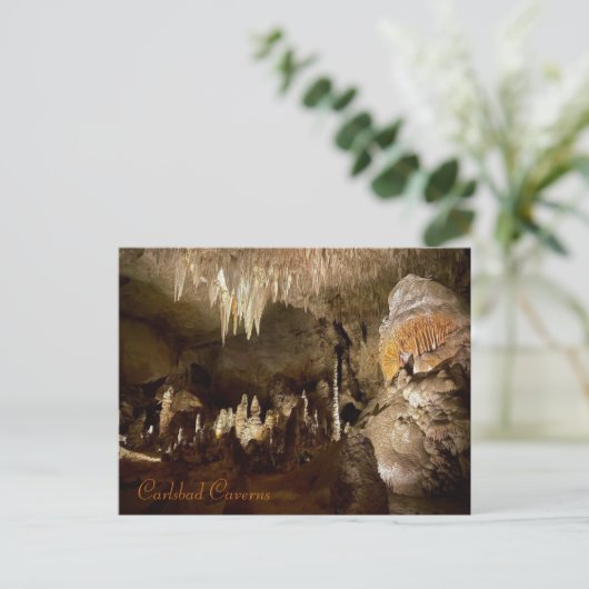 Carlsbad Caverns Postkarte (Stehend Vorderseite)