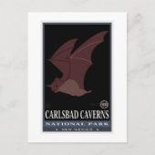 Carlsbad Caverns Postkarte (Vorderseite)
