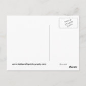 Carlsbad Caverns Postkarte (Rückseite)