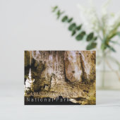 Carlsbad Caverns Postkarte (Stehend Vorderseite)