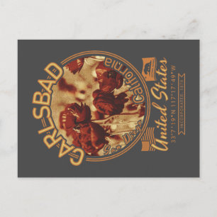 CARLSBAD KALIFORNIEN - CARLSBAD BLUMENFELDER POSTKARTE
