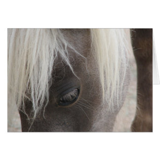 Carly, hübsch mini filmisch