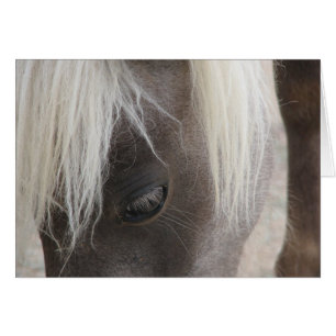 Carly, hübscher Minifilly