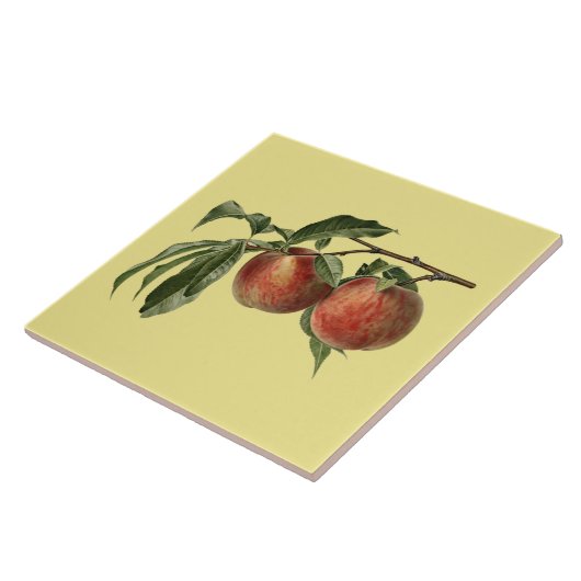 Carman Peaches ~Botanische Tile ~Küche ~Farbe Fliese (Seite)