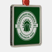 Carmanah Walbran Provincial Sun Trees Ornament Aus Metall (Rechts)