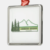 Carmanah Walbran Provinzpark Grüne Streifen Ornament Aus Metall (Links)