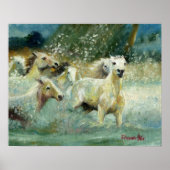 Carmargue Horse Portrait Poster (Vorne)