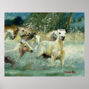 Carmargue Pferdeporträt Poster