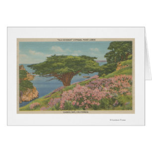 Carmel Bucht, CA - Ansicht "des alter Veteranen-"