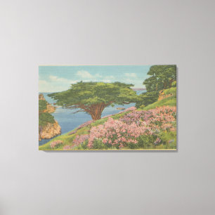 Carmel Bucht, CA - Ansicht "des alter Veteranen-" Leinwanddruck