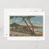 Carmel, CA - Zuhause entlang der Küste Postkarte (Vorne/Hinten)