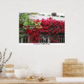 Carmel in Blüte Poster (Küche)