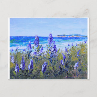 Carmel Kalifornien, Strand, Lupinen, Postkarte