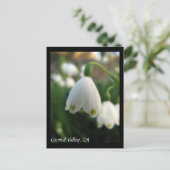 Carmel Valley Blume Postcard Postkarte (Stehend Vorderseite)