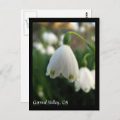 Carmel Valley Blume Postcard Postkarte (Vorne/Hinten)