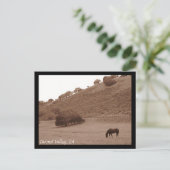 Carmel Valley Postcard Postkarte (Stehend Vorderseite)