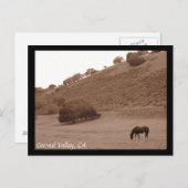 Carmel Valley Postcard Postkarte (Vorne/Hinten)