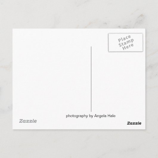 Carmel Valley Postcard Postkarte (Rückseite)