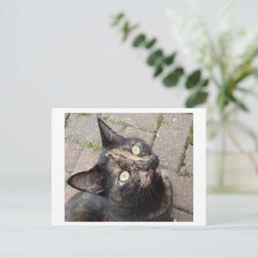 Carmen Postkarte (Stehend Vorderseite)