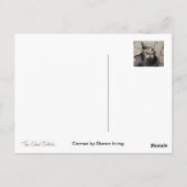 Carmen Postkarte (Rückseite)